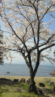 201004101130000.jpg