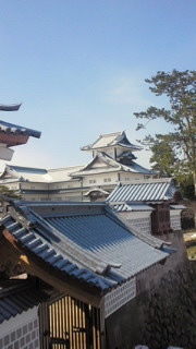 201102201105000.jpg